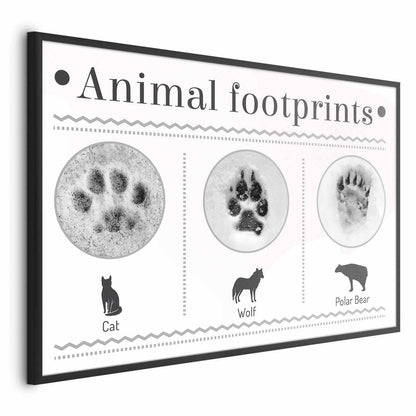 Animal footprints poster featuring paw prints of cat, wolf, and polar bear.
