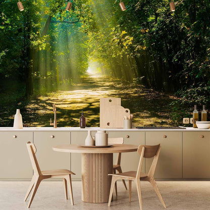 Fototapete - Road in Sunlight