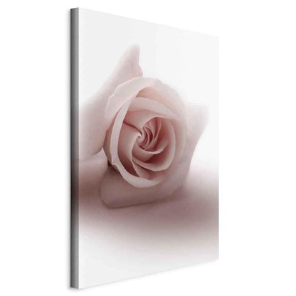 Leinwandbild - Floral Glamour Glow (1-part) - Delicate and Pastel Pink Rose