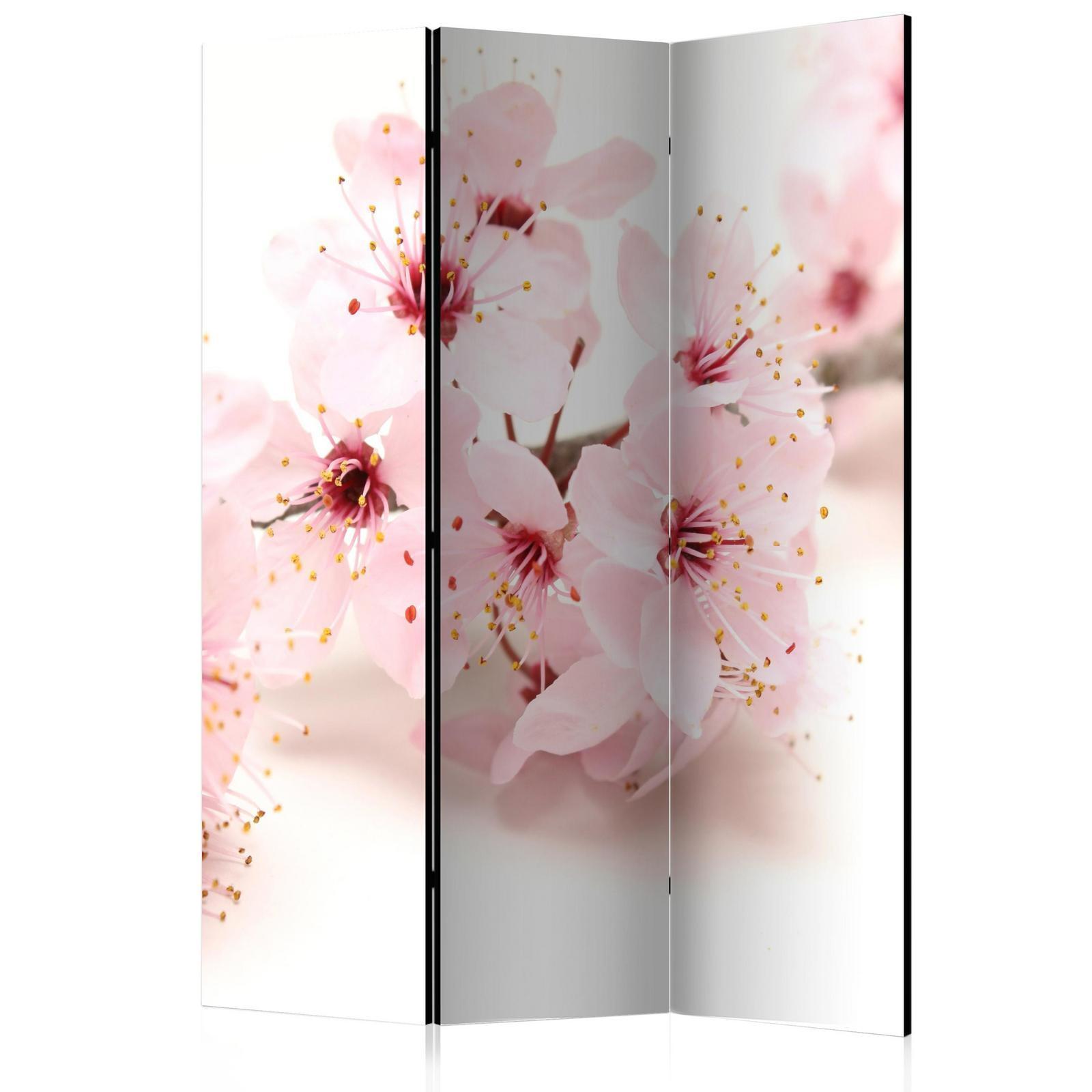 Paravent - Cherry Blossom Artgeist