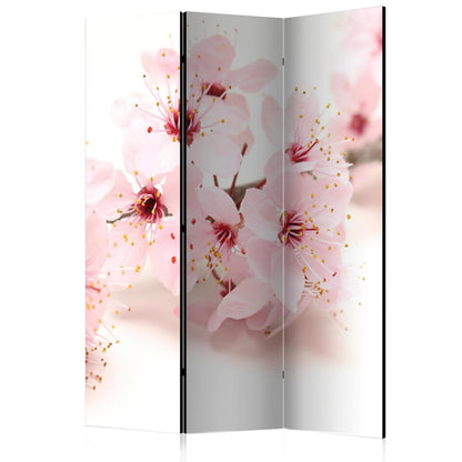 Paravent - Cherry Blossom Artgeist