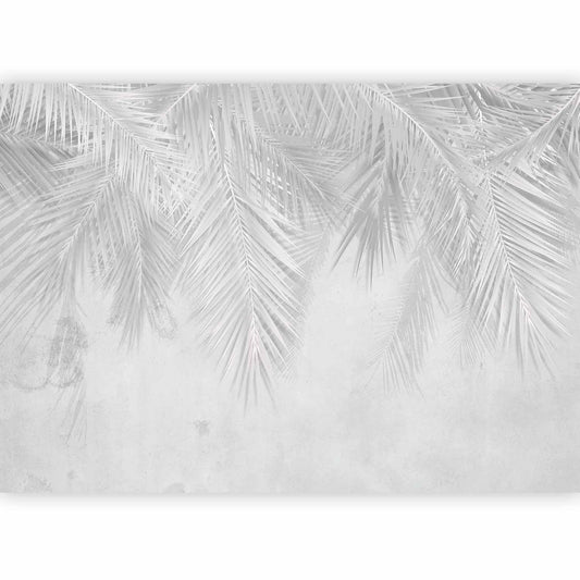 Fototapete - Monotony of Calm