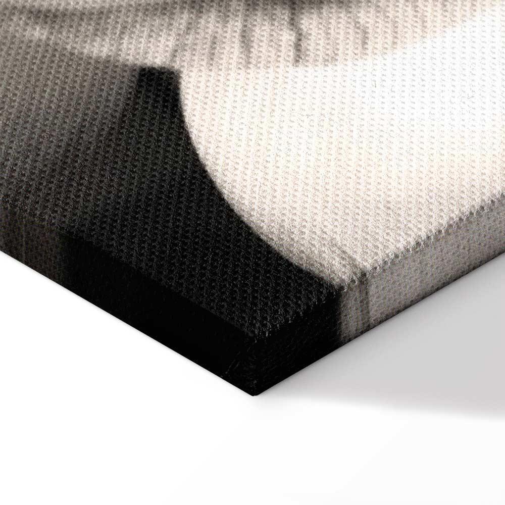 Leinwandbild - Delicacy of Petals in Nature (1-part) - Flower in Black and White