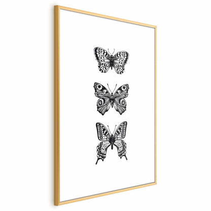 Poster - Three Butterflies Artgeist