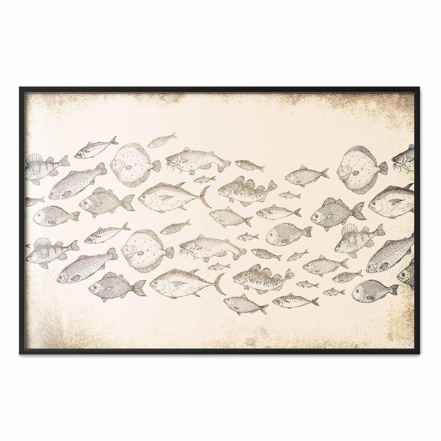 Poster - Subtle Little Fish