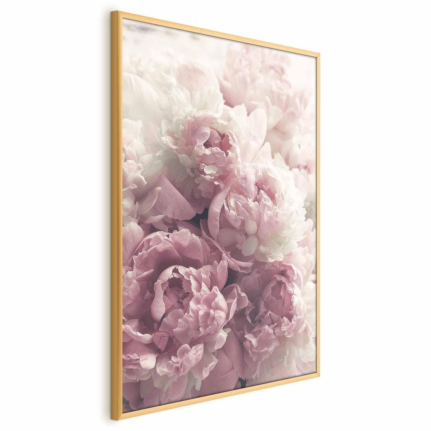 Poster - Delicate Peonies