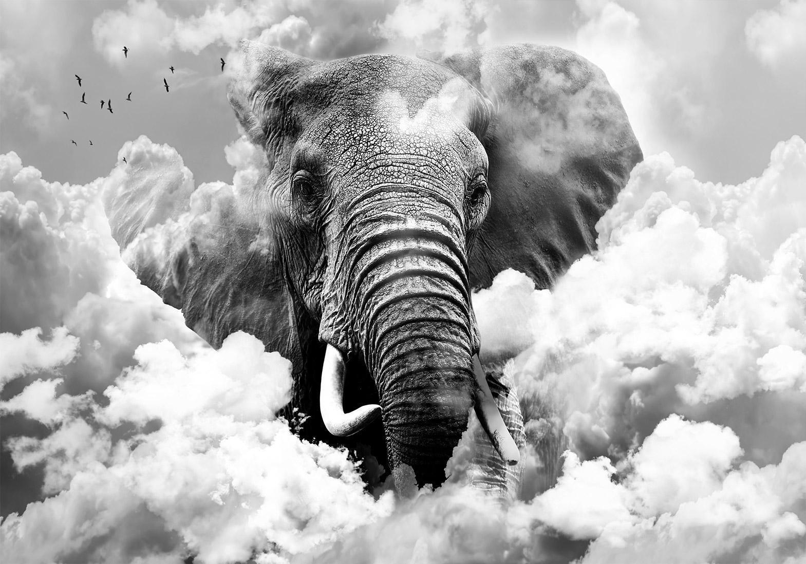 Fototapete - Elephant in the Clouds (Black and White) Artgeist