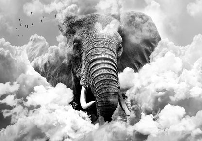 Fototapete - Elephant in the Clouds (Black and White) Artgeist