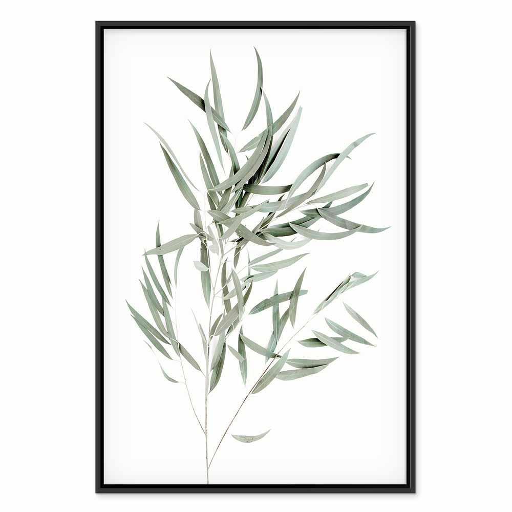 Leinwandbild - Nicholia Eucalyptus (1 Part) Vertical