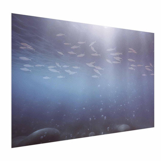 Poster Fische in der Tiefe  – Tiefsee-Fisch im mystischen Blau