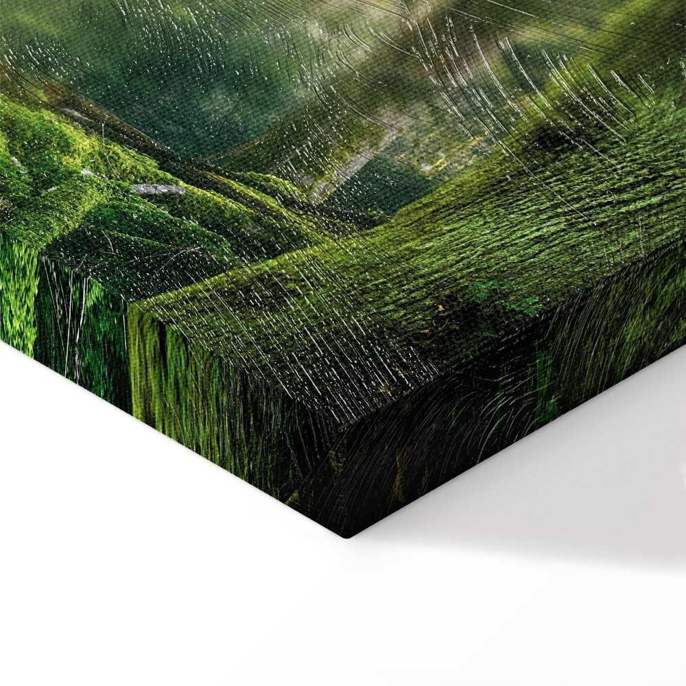 Leinwandbild - The Beauty of the Forest