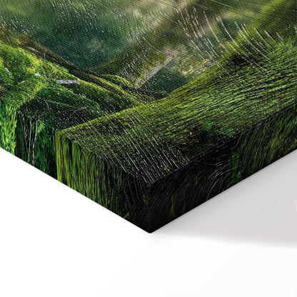 Leinwandbild - The Beauty of the Forest