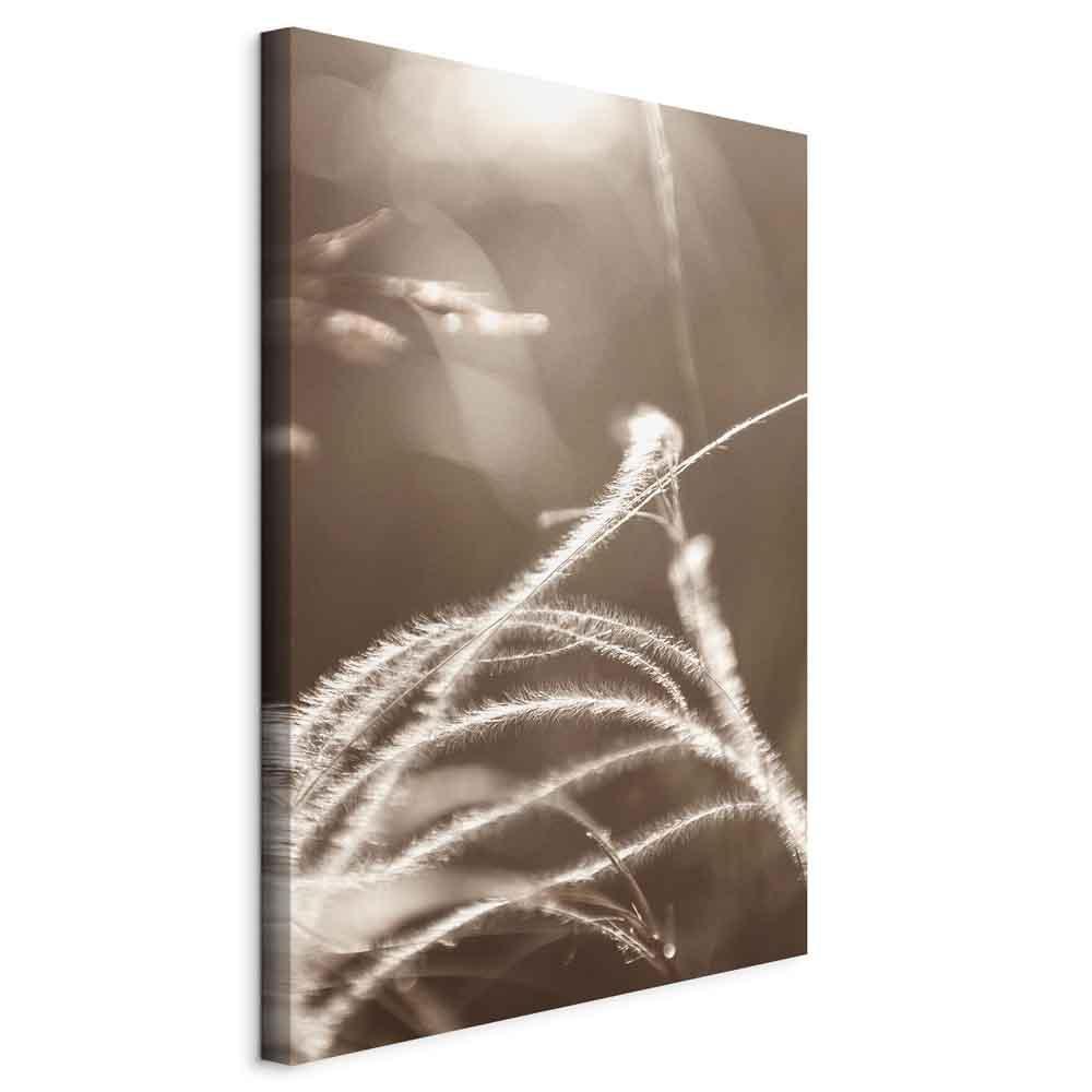 Leinwandbild - Fluffy Grass (1 Part) Vertical
