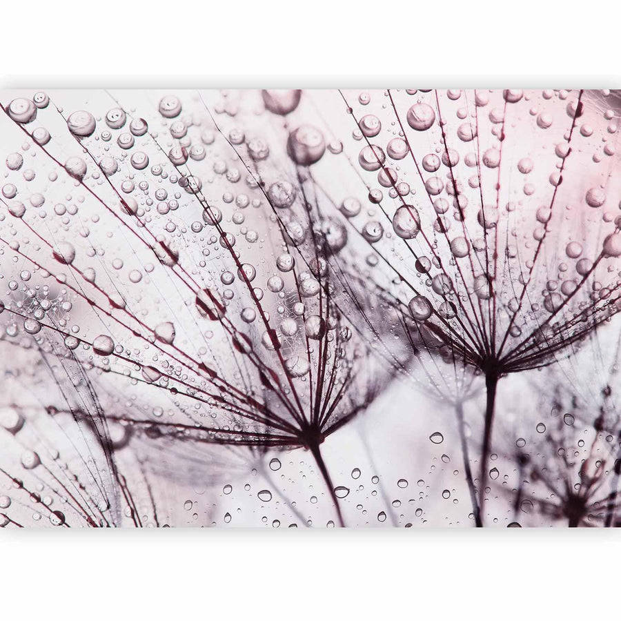 Fototapete „Regenzeit“ – Sanfte Regentöne für entspannte Wohnatmosphäre