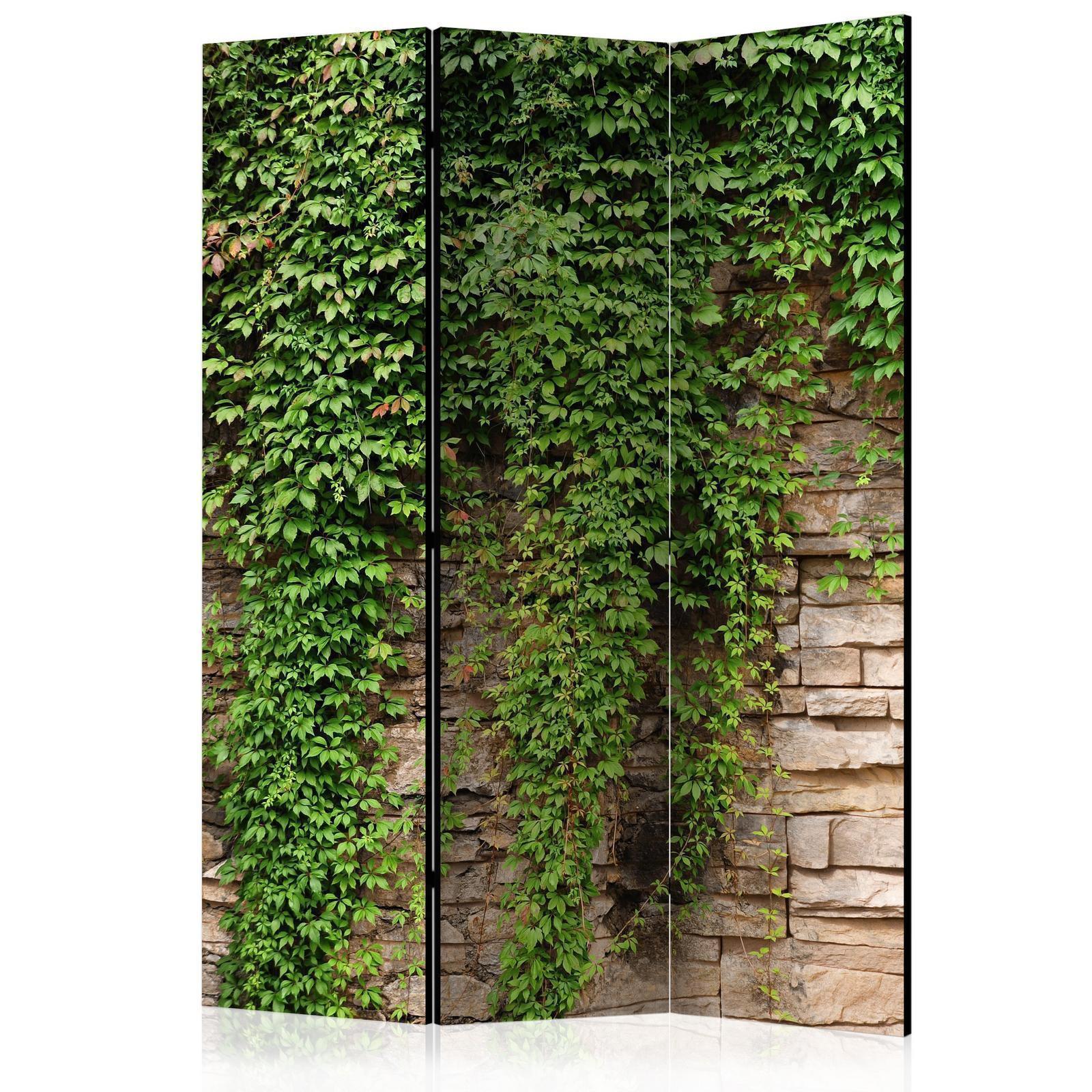 Paravent - Ivy wall Artgeist