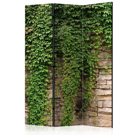 Paravent - Ivy wall Artgeist
