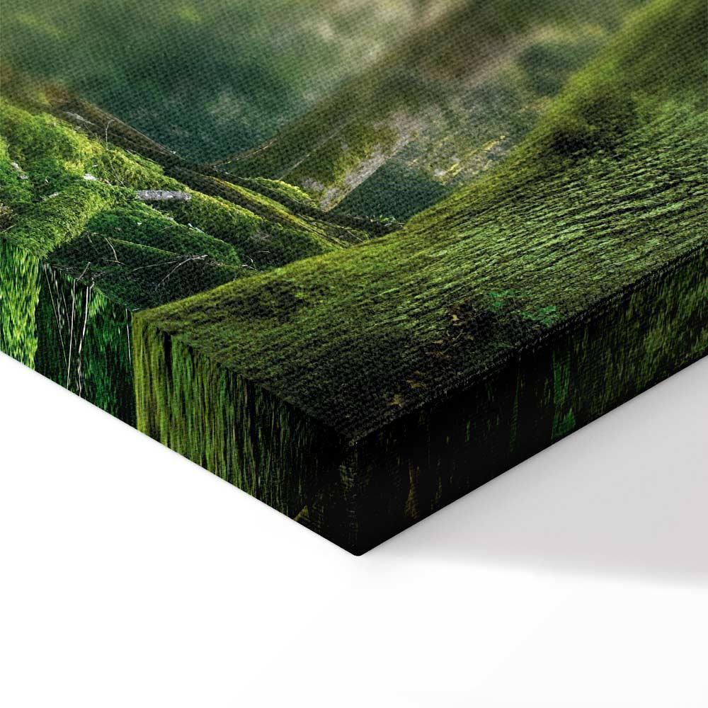 Leinwandbild - The Beauty of the Forest