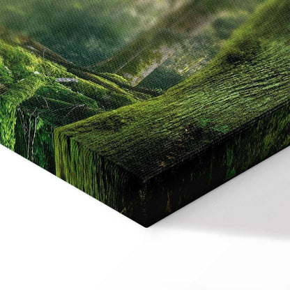 Leinwandbild - The Beauty of the Forest