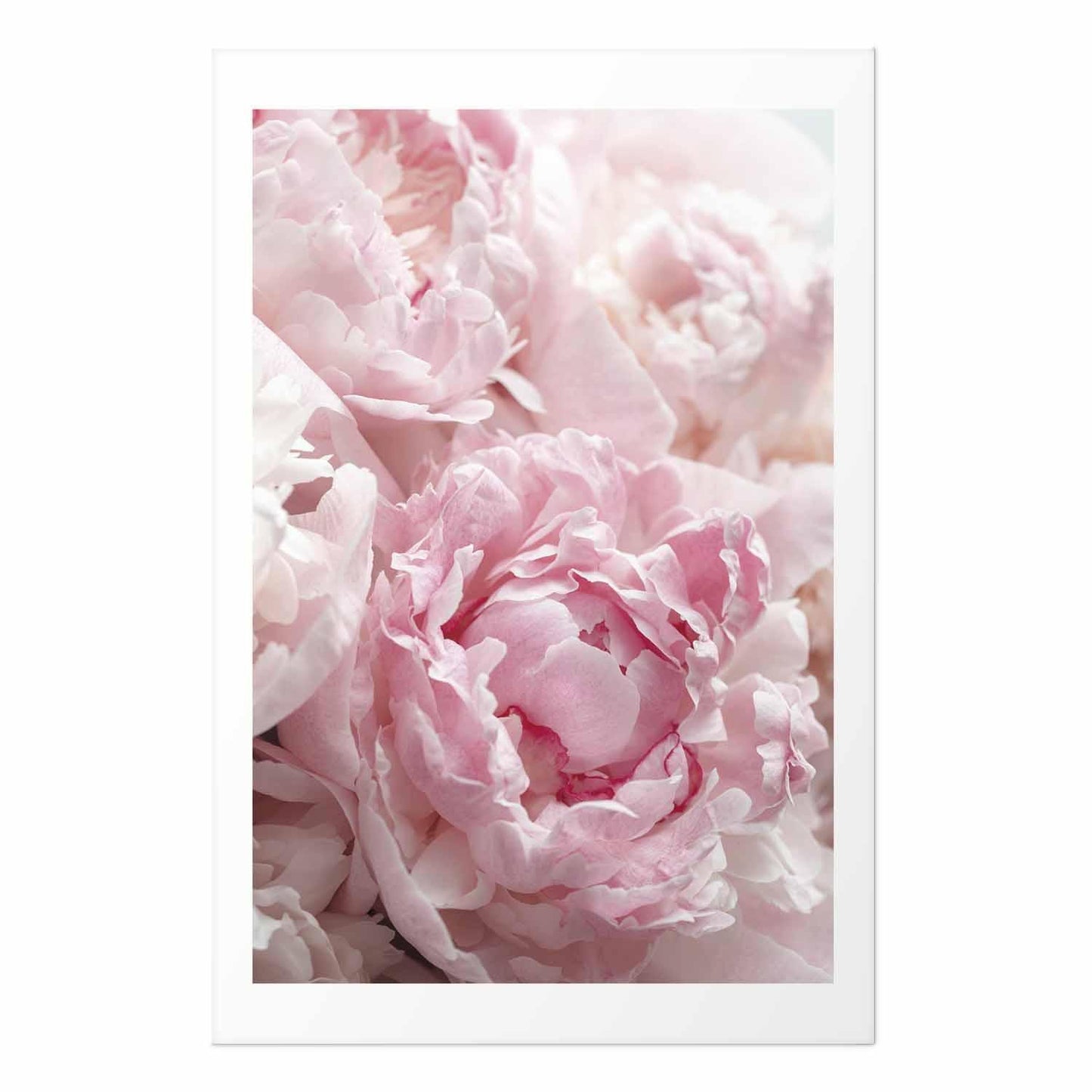 Poster - Morning Nostalgia