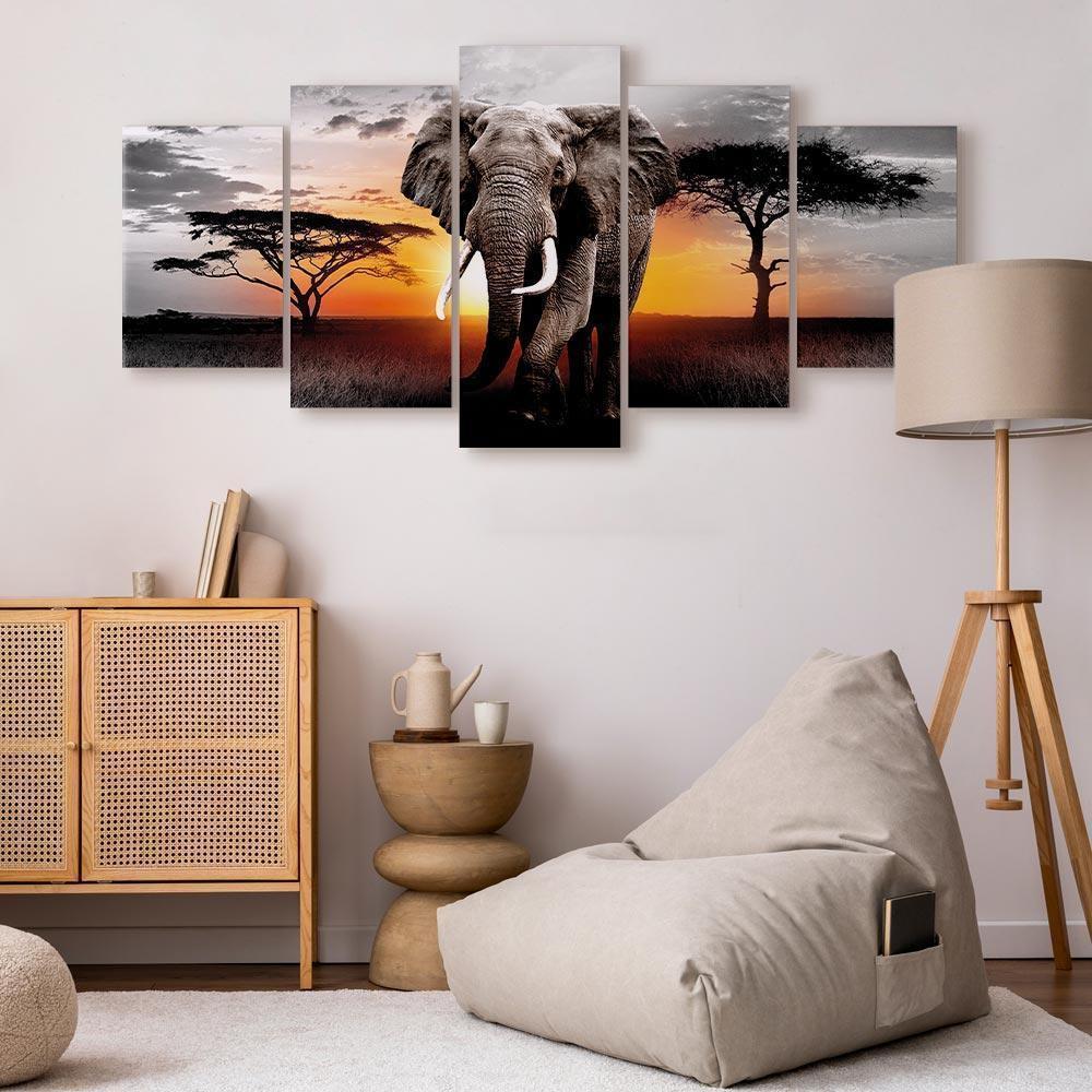 Leinwandbild - Elephant at Sunset
