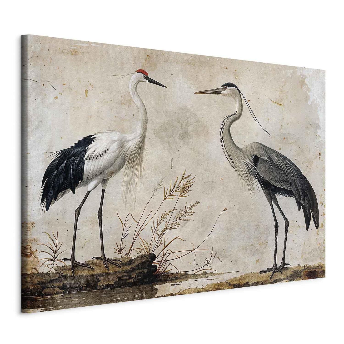 Wandbild XXL - Birds from an old engraving - vintage-style illustration depicting a heron and a crane