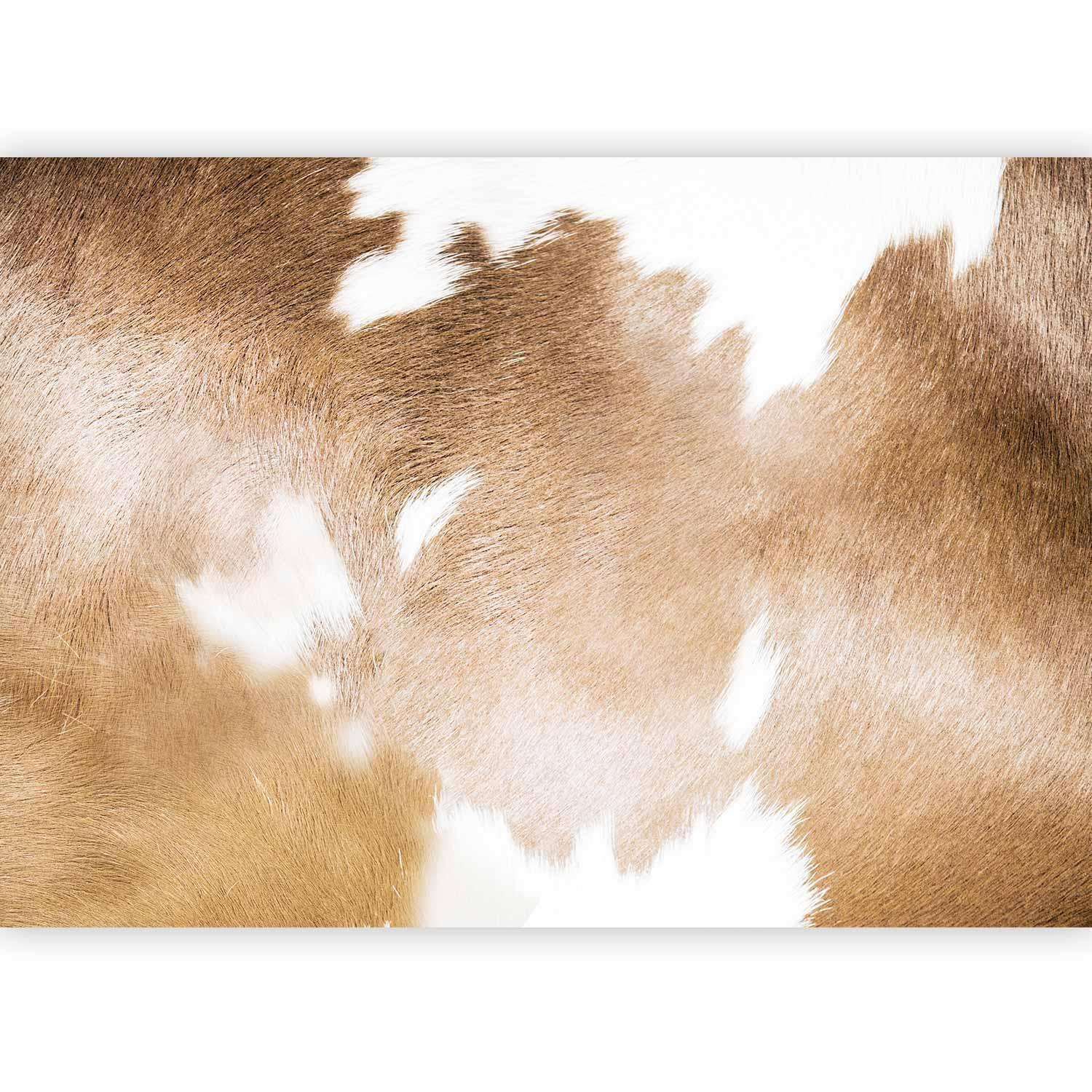 Fototapete - Cow Patches Artgeist