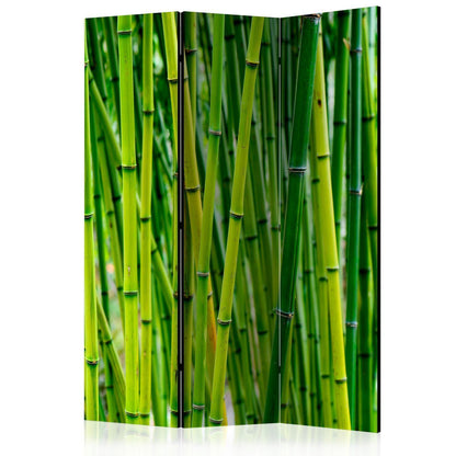 Paravent - Bamboo Forest Artgeist