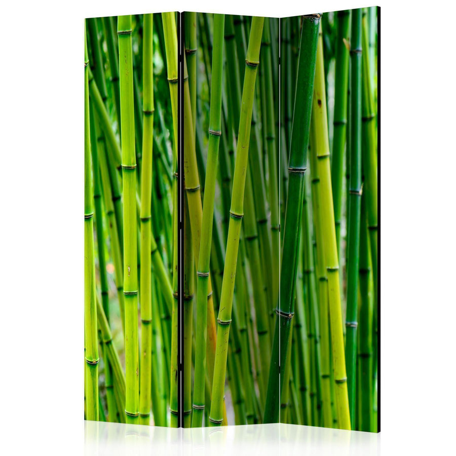 Paravent - Bamboo Forest Artgeist