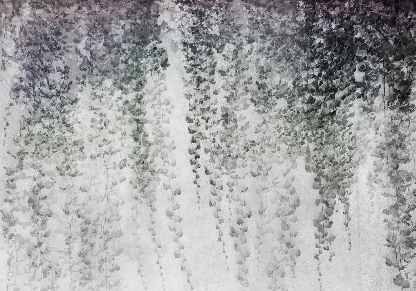 Fototapete - Peaceful oasis - landscape of hanging black leaf vines on a grey background Artgeist