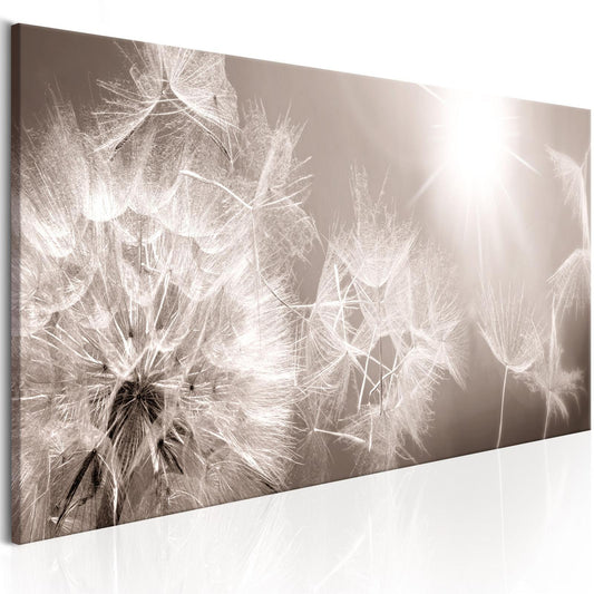 Leinwandbild - Summer Dandelions Artgeist