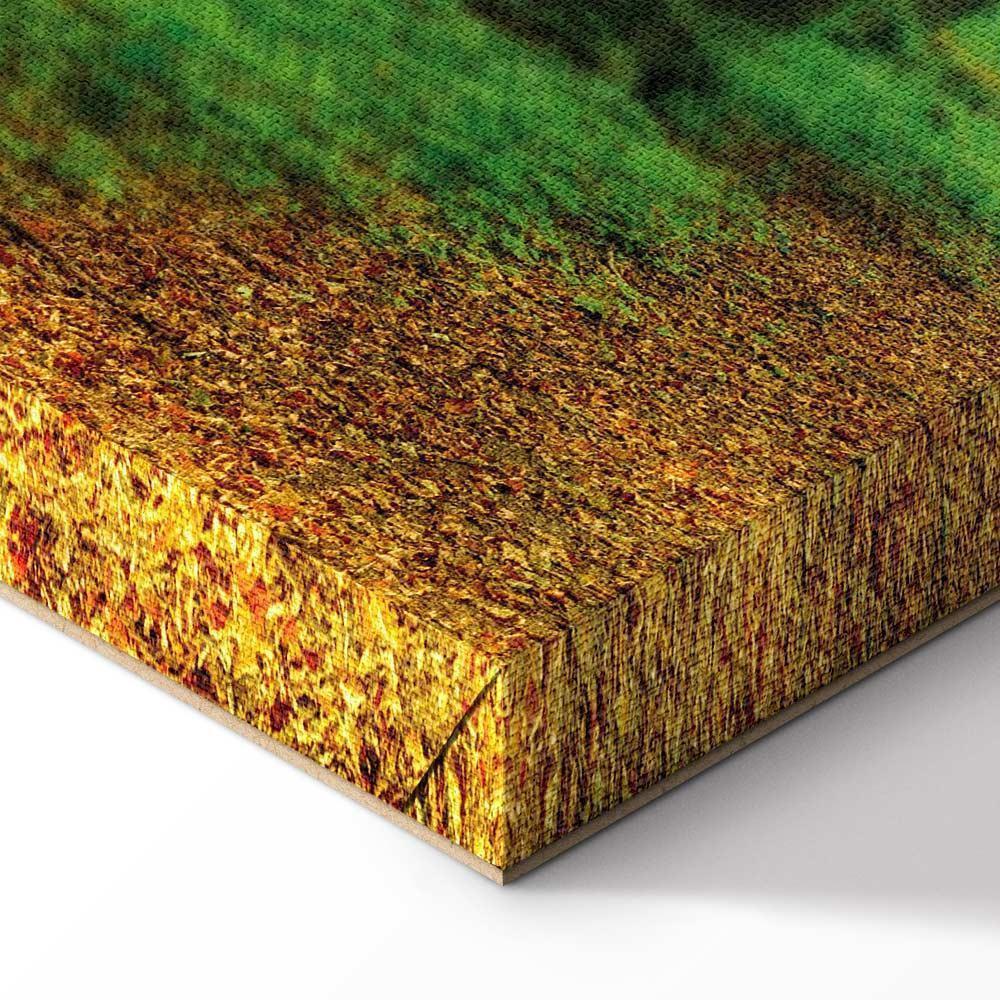 Leinwandbild - Magic Forest