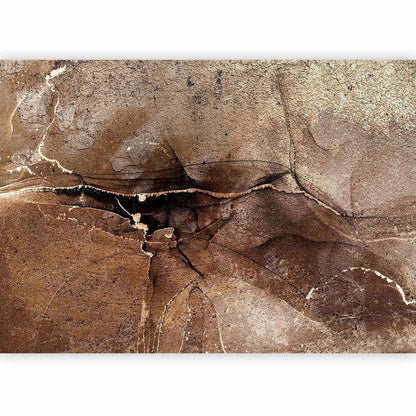 Fototapete - Rock abstraction - brown and beige pattern in the style of cracked stone Artgeist