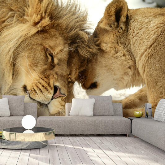 Fototapete - Lion Tenderness Artgeist