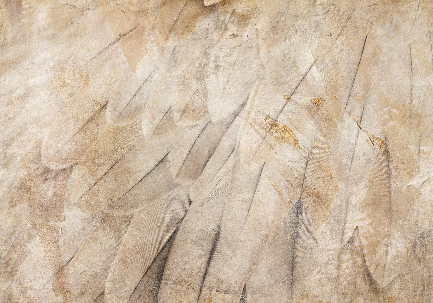 Fototapete - Bird's wings - minimalist close-up on beige feathers with pattern Artgeist