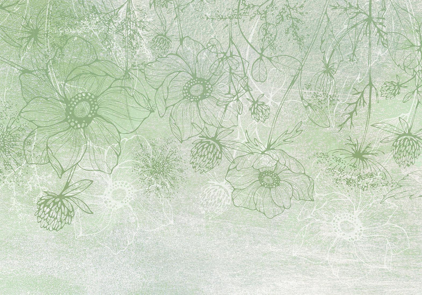 Fototapete - Flowery meadow - nature with field flowers lineart on green background Artgeist