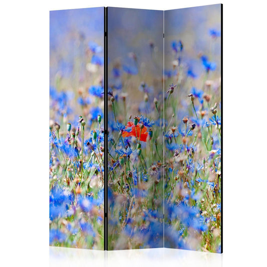 Paravent - A sky-colored meadow - cornflowers Artgeist