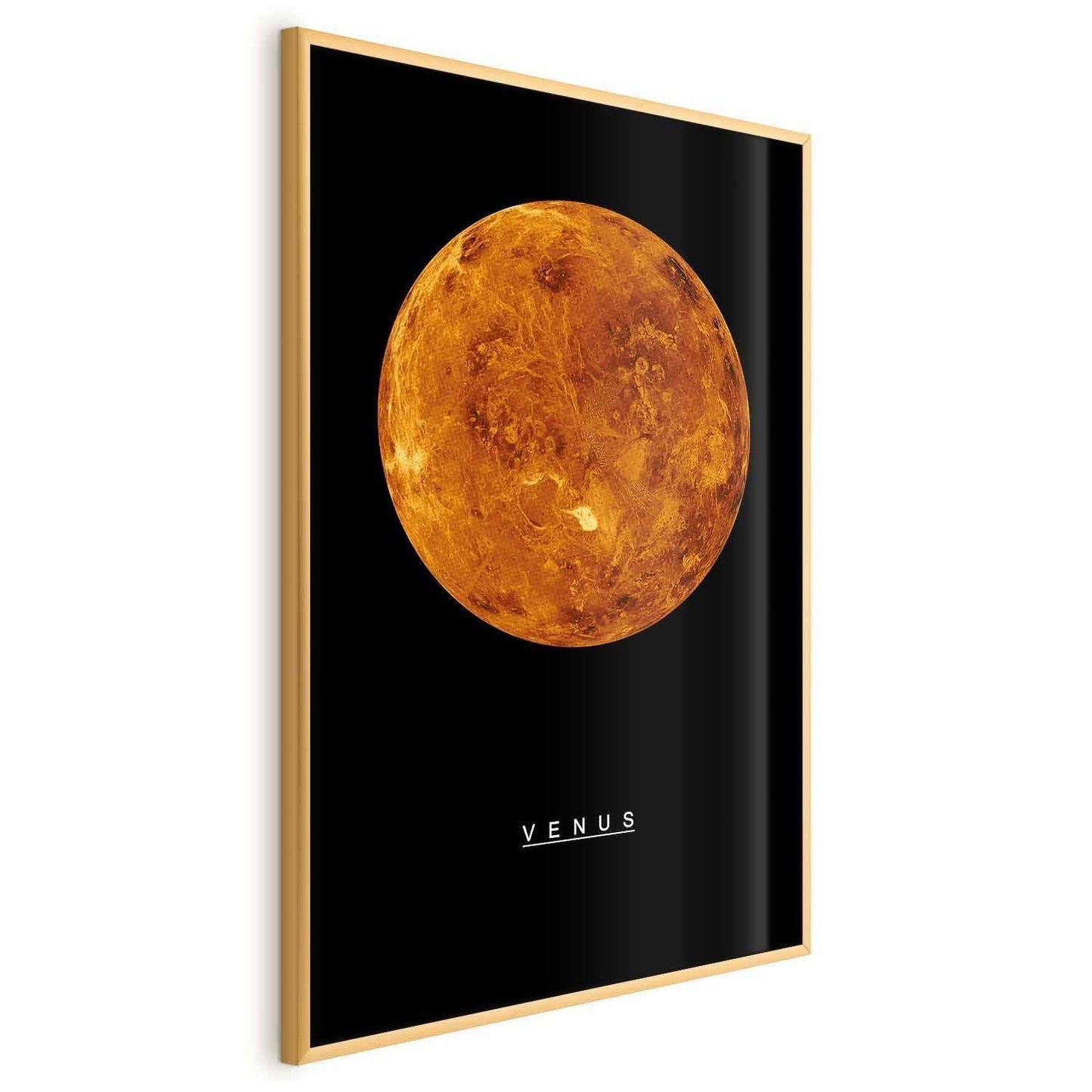 Poster - Venus Artgeist