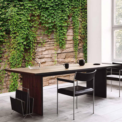 Fototapete - Ivy wall