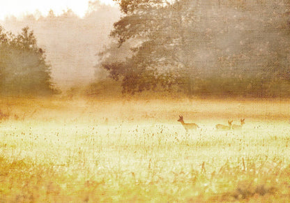 Fototapete - Morning Dew Artgeist