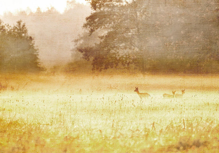 Fototapete - Morning Dew Artgeist