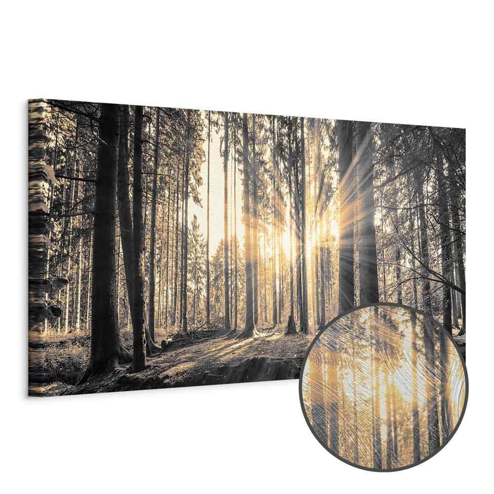 Leinwandbild - Forest Sun