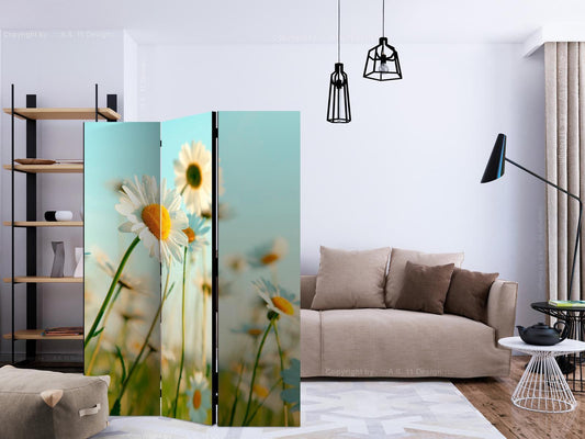 Paravent - Daisies - spring meadow Artgeist