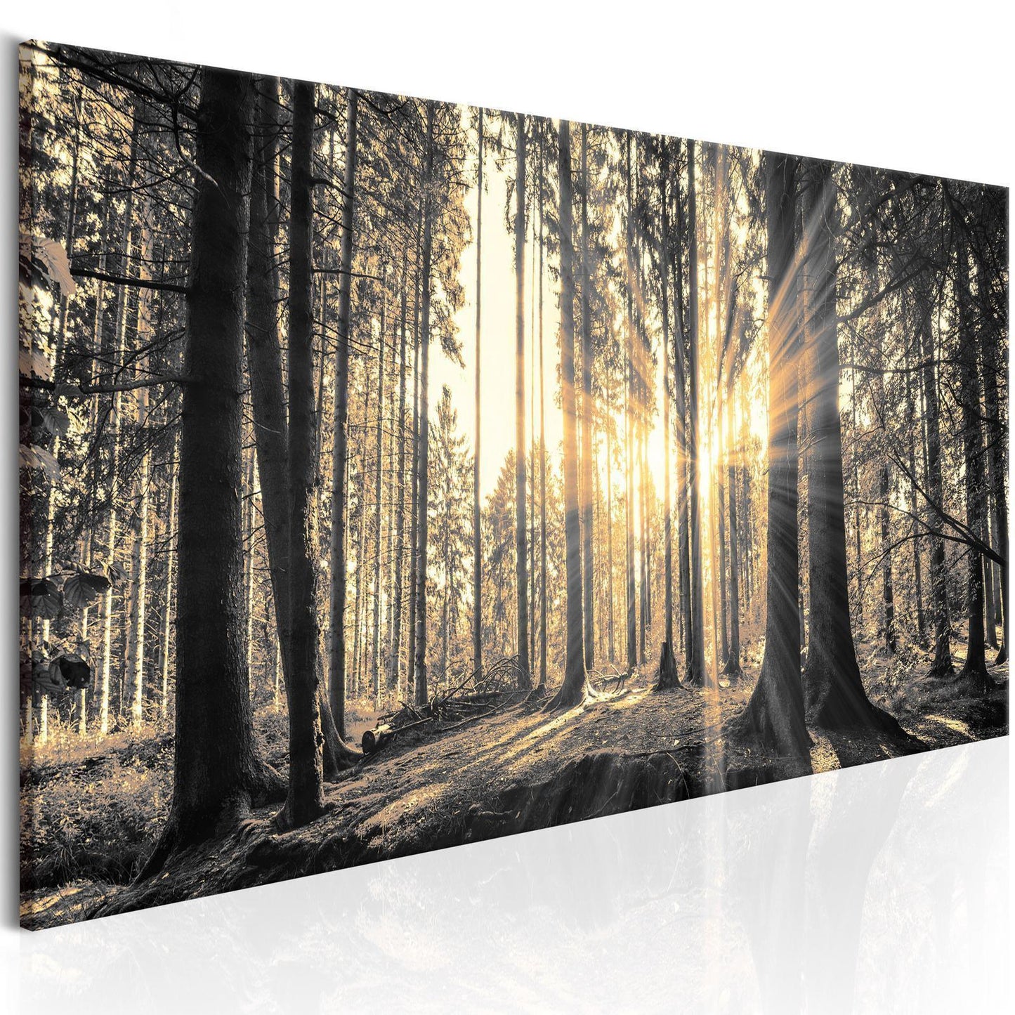 Leinwandbild - Forest Sun Artgeist
