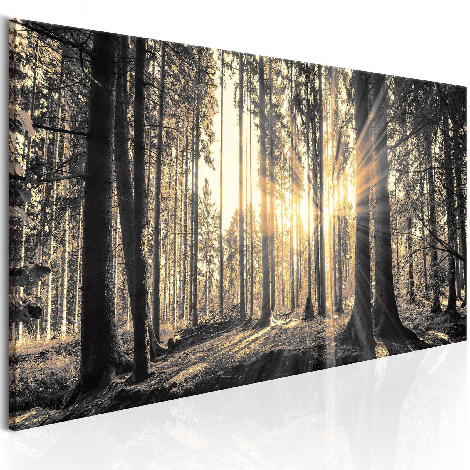 Leinwandbild - Forest Sun Artgeist