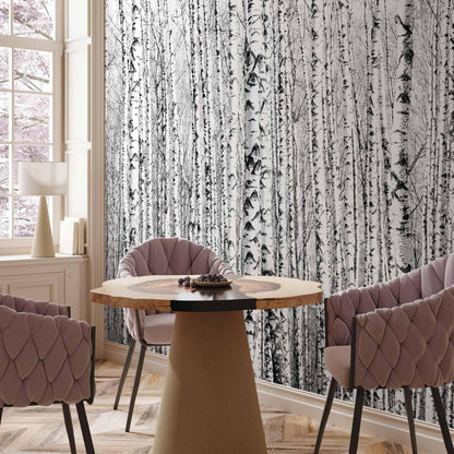 Fototapete - Birch forest