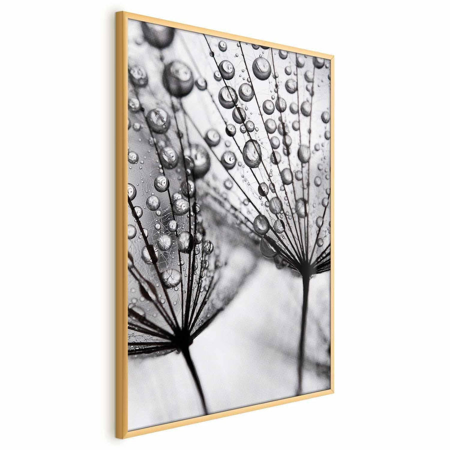 Poster - Macro Dew Artgeist