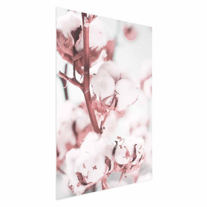 Poster - Cotton in Bloom Artgeist