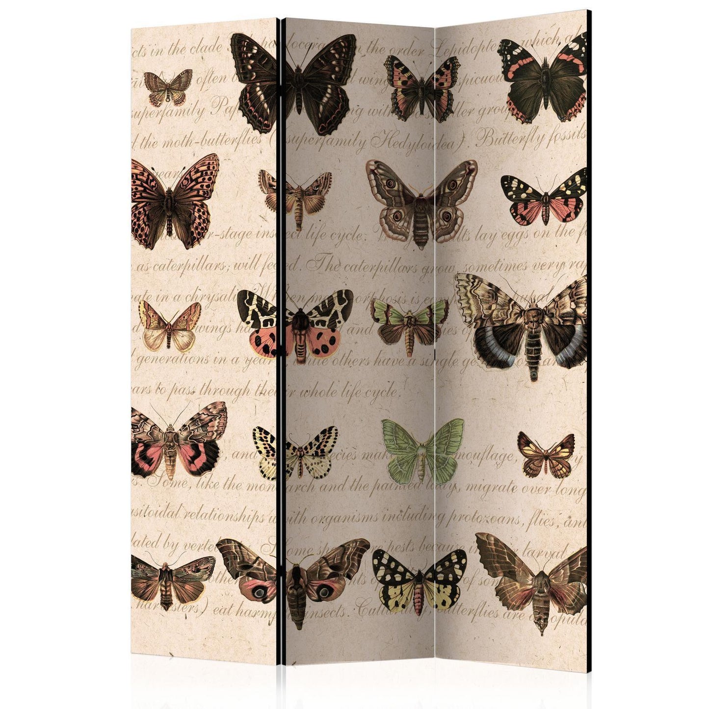 Paravent - Retro Style: Butterflies Artgeist