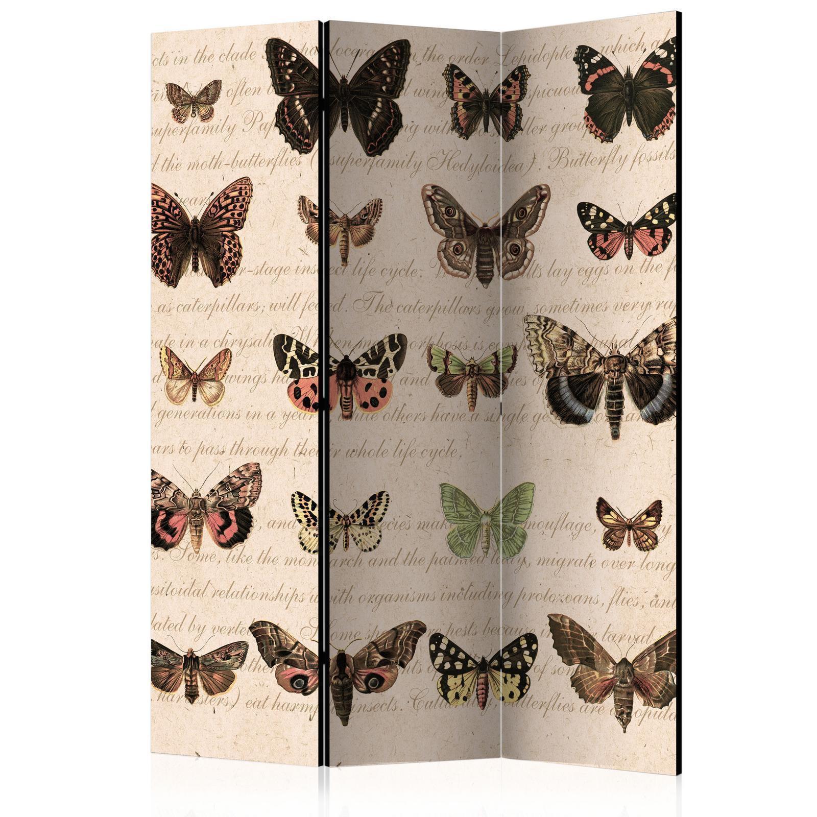 Paravent - Retro Style: Butterflies Artgeist