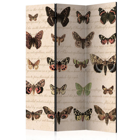 Paravent - Retro Style: Butterflies Artgeist